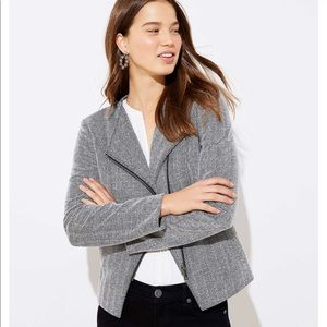 LOFT herringbone moto jacket